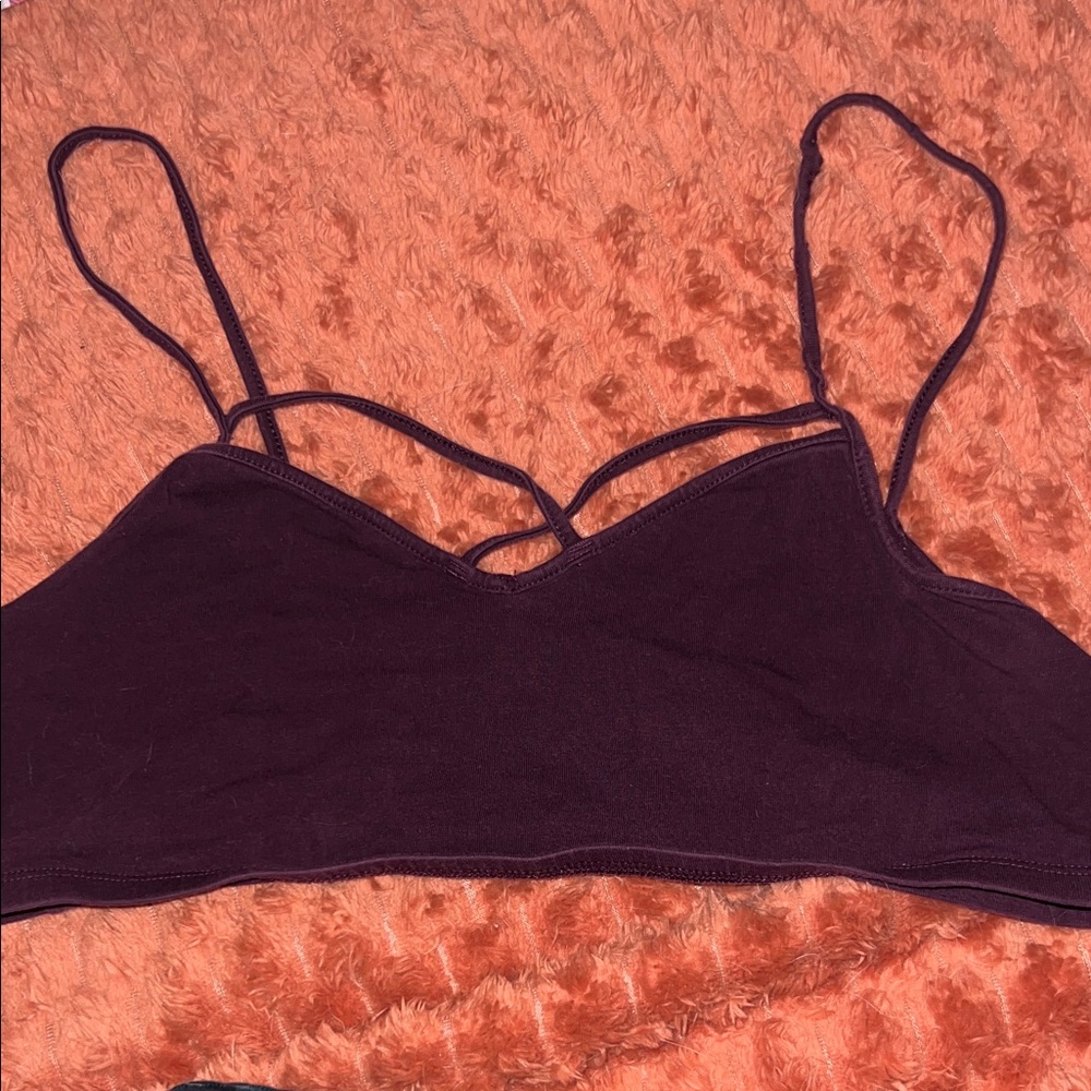 Express Purple Bra